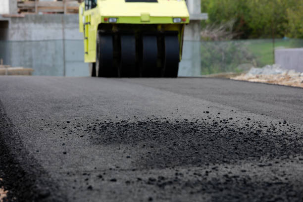 Best Custom Driveway Pavers  in Arrowhead Beach, NC