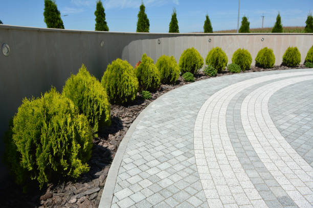 Best Best Driveway Pavers  in Arrowhead Beach, NC